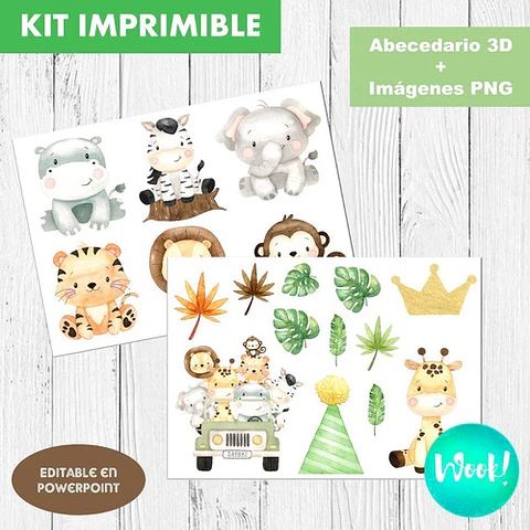 Kit Imprimible Letras 3d Editables Safari
