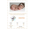 Plantilla Editable En Powerpoint De Nacimiento X 12!!