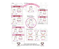 Kit Imprimible Unicornio Editable