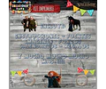 Kit Imprimible Candy Bar Valiente Merida Modelo 1 Completo