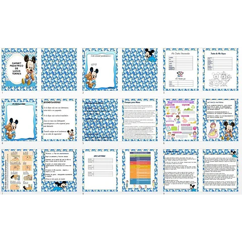 Cuaderno Agenda Pediátrica Imprimible Mickey / Power Point