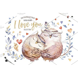 Cliparts Png Lechuzas Amor Acuarela Watercolor Pa35
