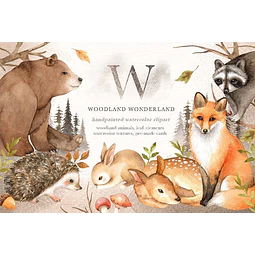 Cliparts Imagenes Png Animales Del Bosque Oso Acuarelas Es30