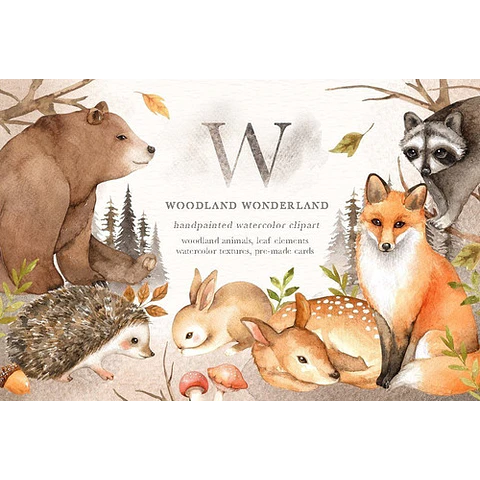 Cliparts Imagenes Png Animales Del Bosque Oso Acuarelas Es30