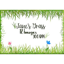 Cliparts Imagenes Png Hojas De Pasto Acuarela Jk84