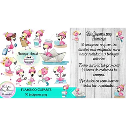 Cliparts Imagenes Png Flamingo Flamenco
