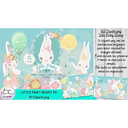 Cliparts Imagenes Png Bunnies Conejos Conejitos P11
