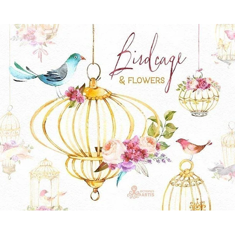 Cliparts Png Jaula Pajaritos Flores Acuarela Watercolor O3