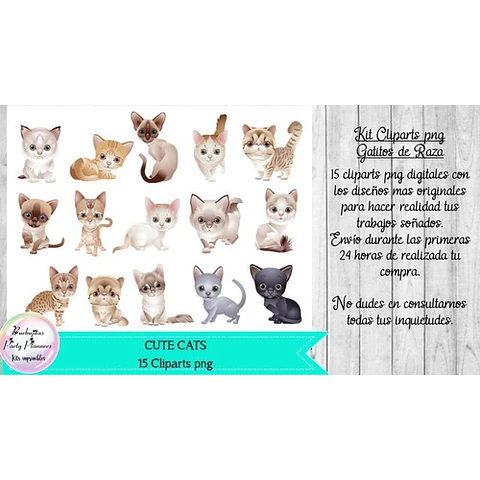 15 Cliparts Png Cats Gatos Gatitos