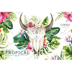 Cliparts Png Tribal Boho Plumas Acuarela Watercolor Pa52