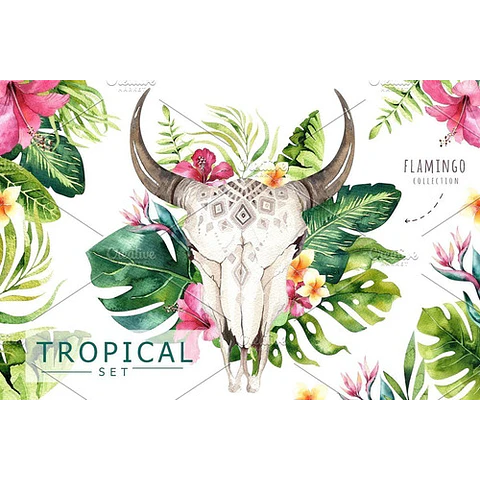 Cliparts Png Tribal Boho Plumas Acuarela Watercolor Pa52