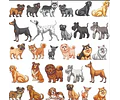 Plantillas Sublimación Tazas - Mascotas Perros