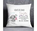 Plantillas / Diseños Sublimar Almohadon Bebe Nacimiento