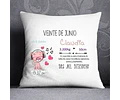 Plantillas / Diseños Sublimar Almohadon Bebe Nacimiento