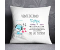 Plantillas / Diseños Sublimar Almohadon Bebe Nacimiento