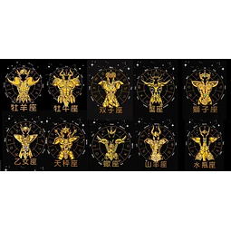 12 Vectores Caballeros Del Zodiaco Armaduras Doradas
