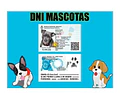 Dni Canino 100 % Editable Formato Psd (3 Versiones)