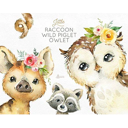 Cliparts Png Mapache Lechuza Cerdo Watercolor O25