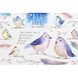 Cliparts Png Pajaritos Acuarela Watercolor Pa1