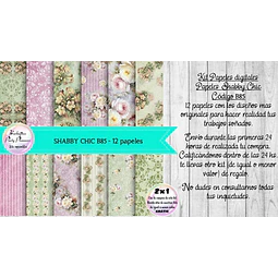 Papeles Digitales Shabby Chic Vintage Lila Y Verde B85
