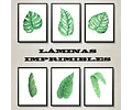 Kit Imprimible X 6 Láminas Hojas Tropicales Acuarela 