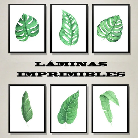 Kit Imprimible X 6 Láminas Hojas Tropicales Acuarela 