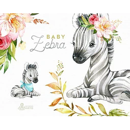 Cliparts Png Zebras Cebras Bebes Acuarela Watercolor O1