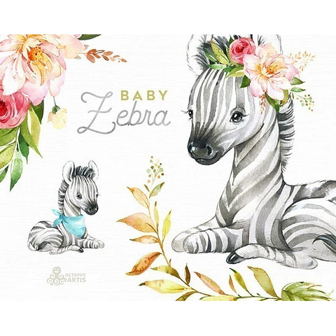 Cliparts Png Zebras Cebras Bebes Acuarela Watercolor O1