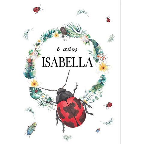 Kit Imprimible Mariquita Ladybug Bichos Tukit