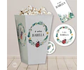 Kit Imprimible Mariquita Ladybug Bichos Tukit