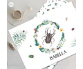Kit Imprimible Mariquita Ladybug Bichos Tukit