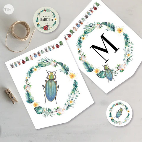 Kit Imprimible Mariquita Ladybug Bichos Tukit