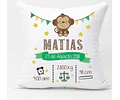 Vectores Para Almohadas Nacimiento Editables