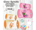 Kit Imprimible Cajas Almohaditas Pascuas