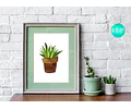 Kit Imprimible X 6 Láminas Para Cuadros De Cactus Acuarela