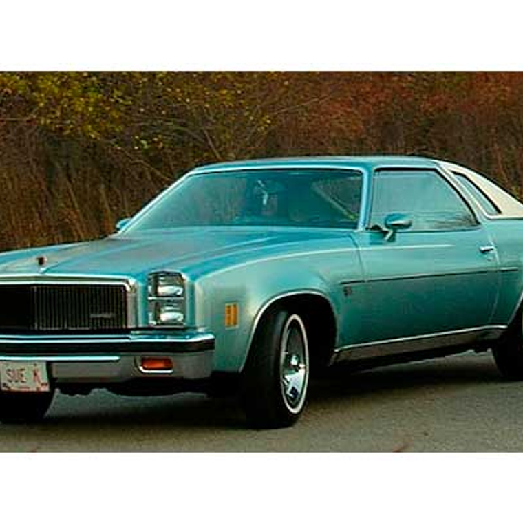 Manual de Taller Chevrolet Chevelle, Monte Carlo, Nova, Camaro, Corvette ( 1977 - 1980 ) Inglés 1