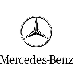 Mercedes Benz WIS / ASRA ( 2019 )