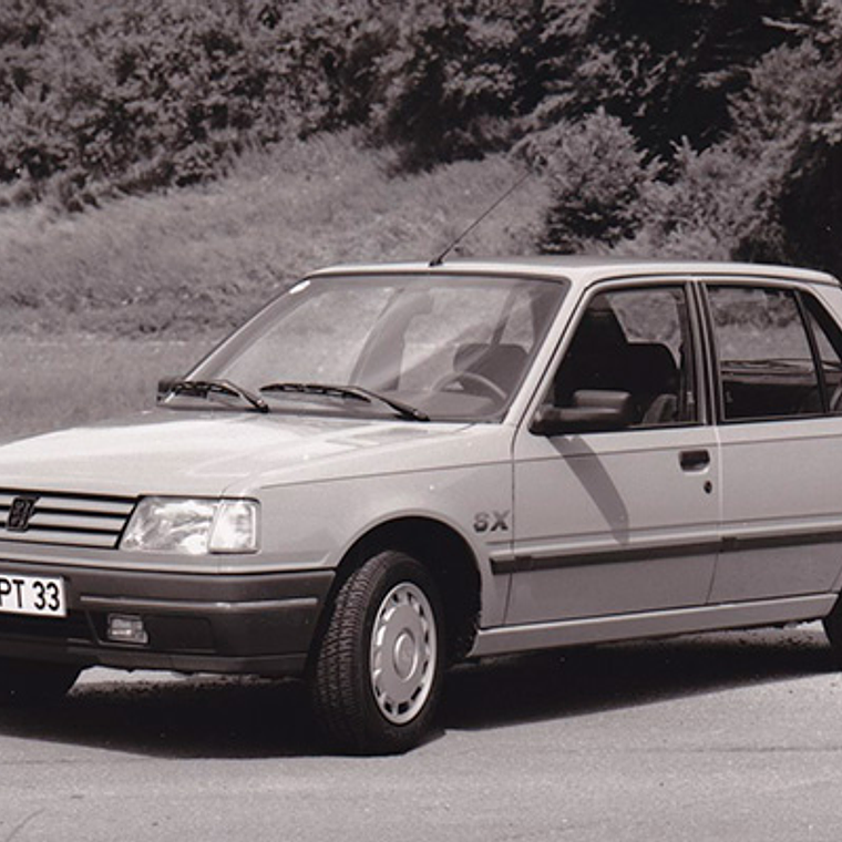 Manual De Despiece Peugeot 309 ( 1985 - 1994 ) En Español 1