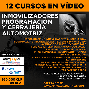 Cursos en Vídeo - Inmovilizadores, Programación y Cerrajería Automotriz