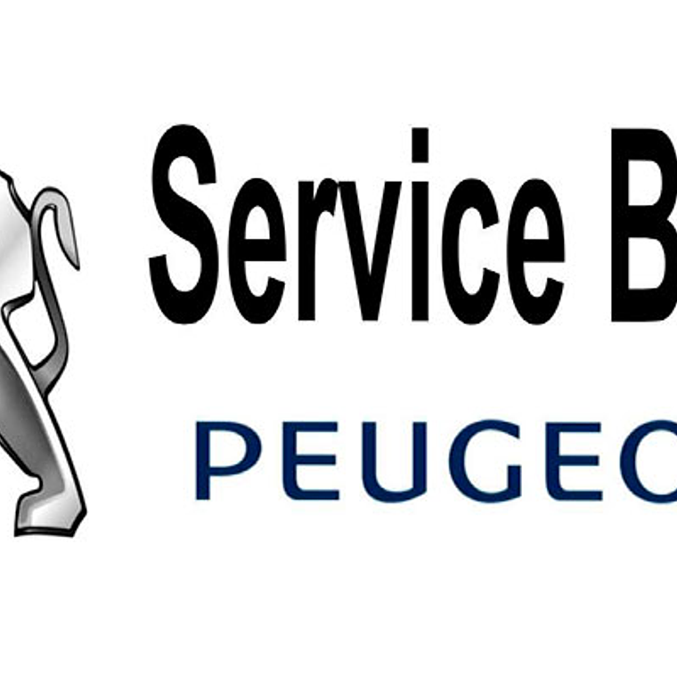 Peugeot Service BOX (Todos los modelos hasta 2013) incl. Diagramas electricos 1