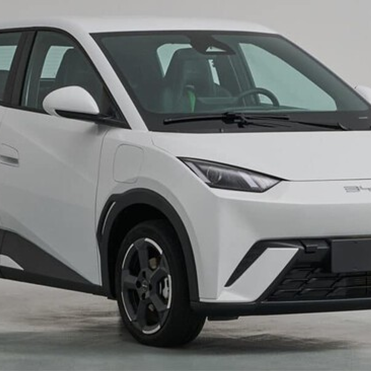 Manual de Taller + Diagramas - BYD Seagull (2024 - 2025) Inglés 1