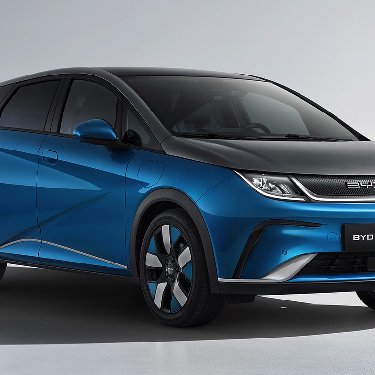 Manual de Taller + Diagramas - BYD Dolphin (2023 - 2024) Inglés 1