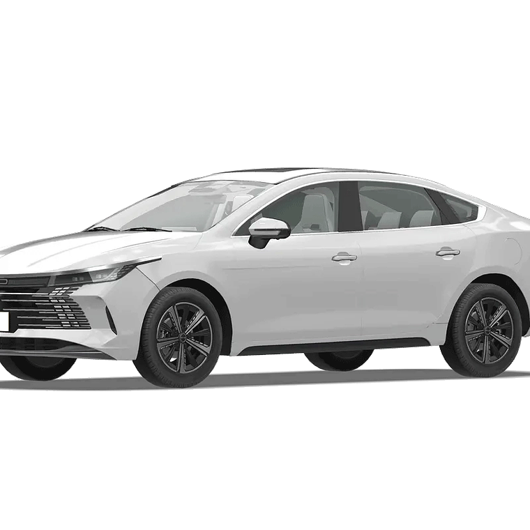 Manual de Taller + Diagrama -BYD Chazor (2023 - 2024) Inglés 1