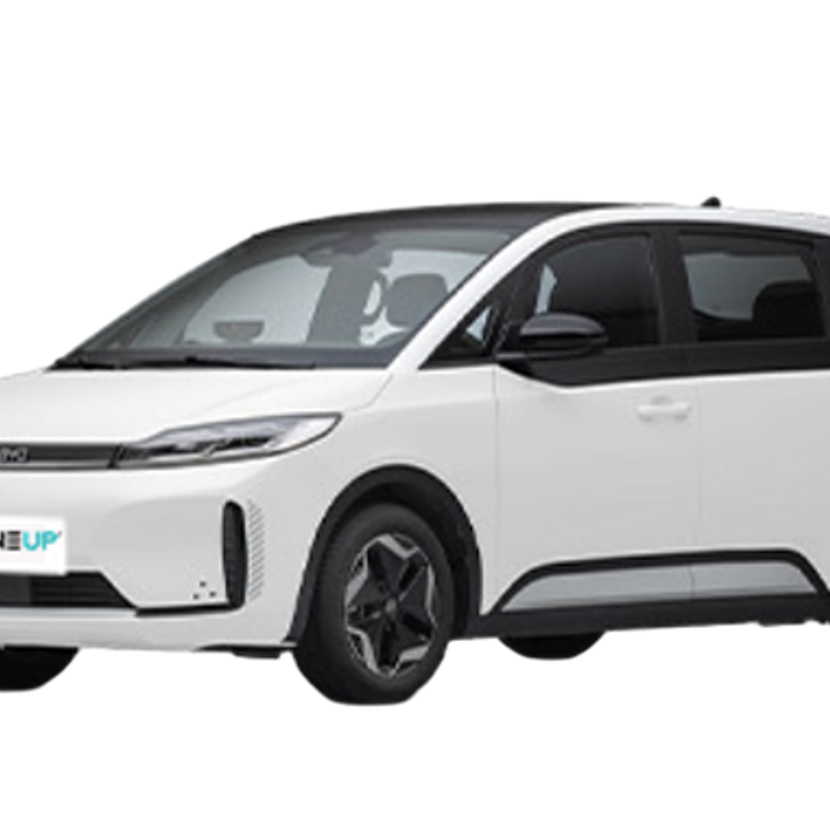 Manual de Taller + Diagramas - BYD D1 (2023 - 2024) Inglés 1