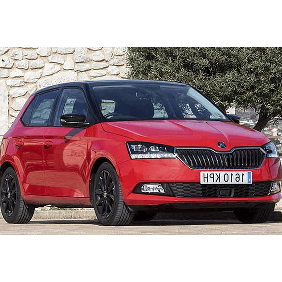 Manual De Despiece Skoda Fabia (2015-2019) En Español