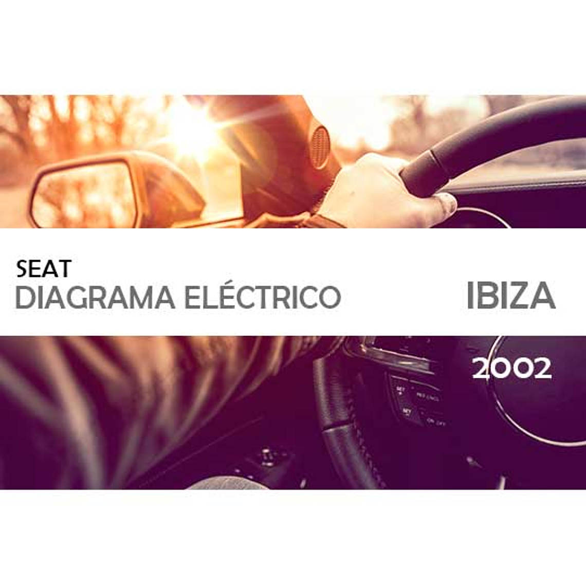 Diagramas Eléctricos  -  Seat Ibiza ( 2002 ) en español 1