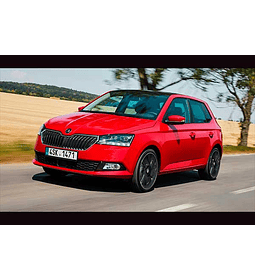 Manual de Taller Skoda Fabia Mk3 ( 2015 - 2019 -2020 ) Inglés