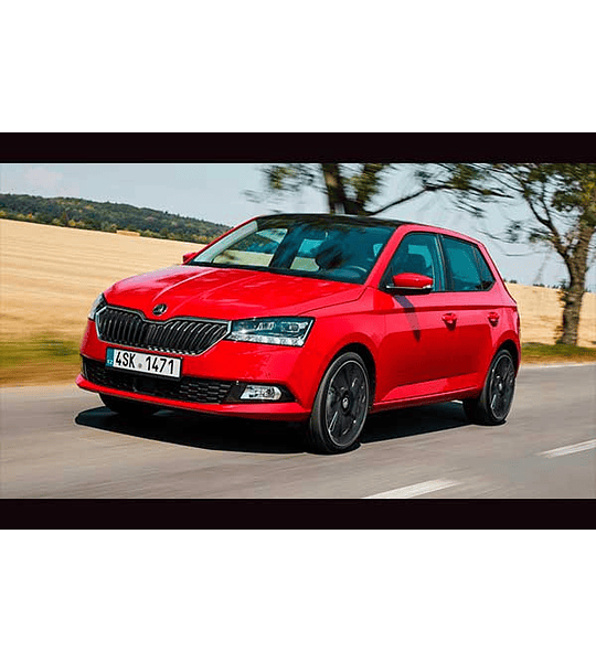 Manual de Taller Skoda Fabia Mk3 ( 2015 - 2019 -2020 ) Inglés