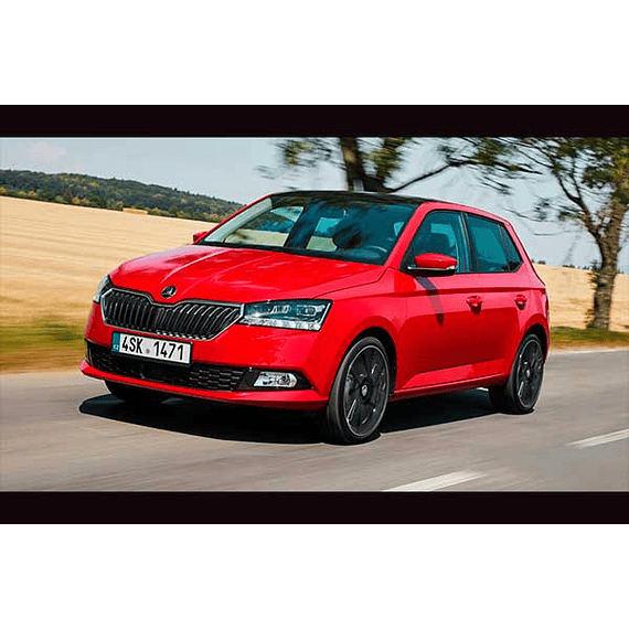 Manual de Taller Skoda Fabia Mk3 ( 2015 - 2019 -2020 ) Inglés