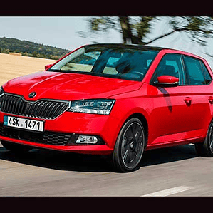 Manual de Taller Skoda Fabia Mk3 ( 2015 - 2019 -2020 ) Inglés